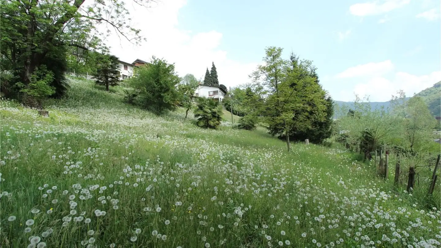 Constructible plot for sale - 6998 Monteggio
