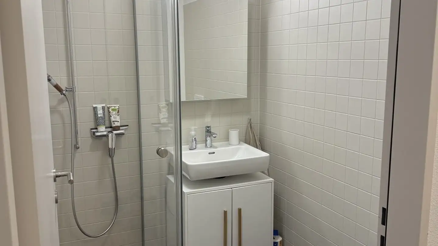 Appartement à louer - Erlengutstrasse 8, 8703 Erlenbach ZH