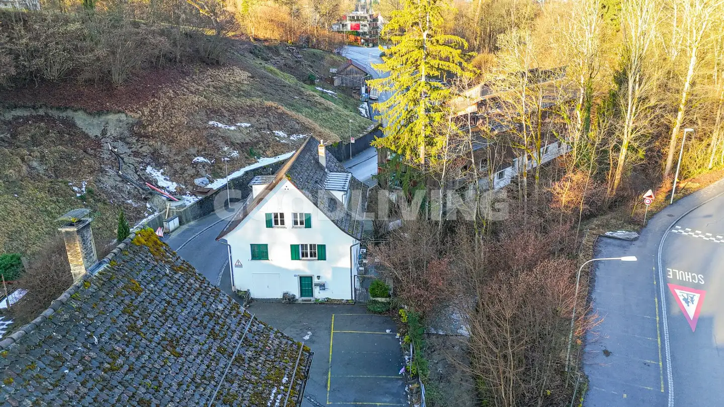 Single house for sale - 8125 Zollikerberg