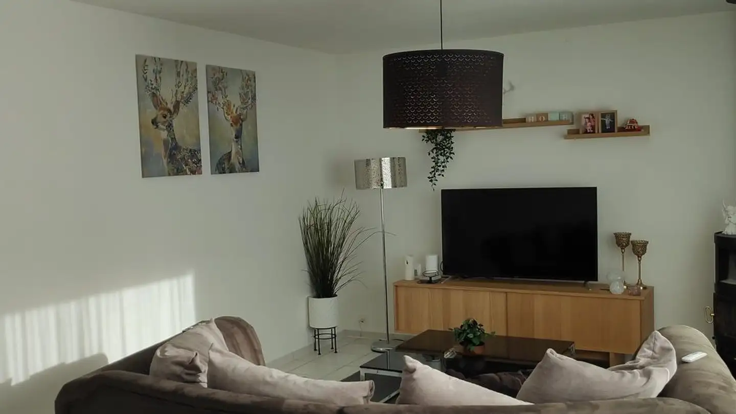 Maison individuelle à louer - Frohmattweg 2, 5524 Niederwil AG - Photo 3