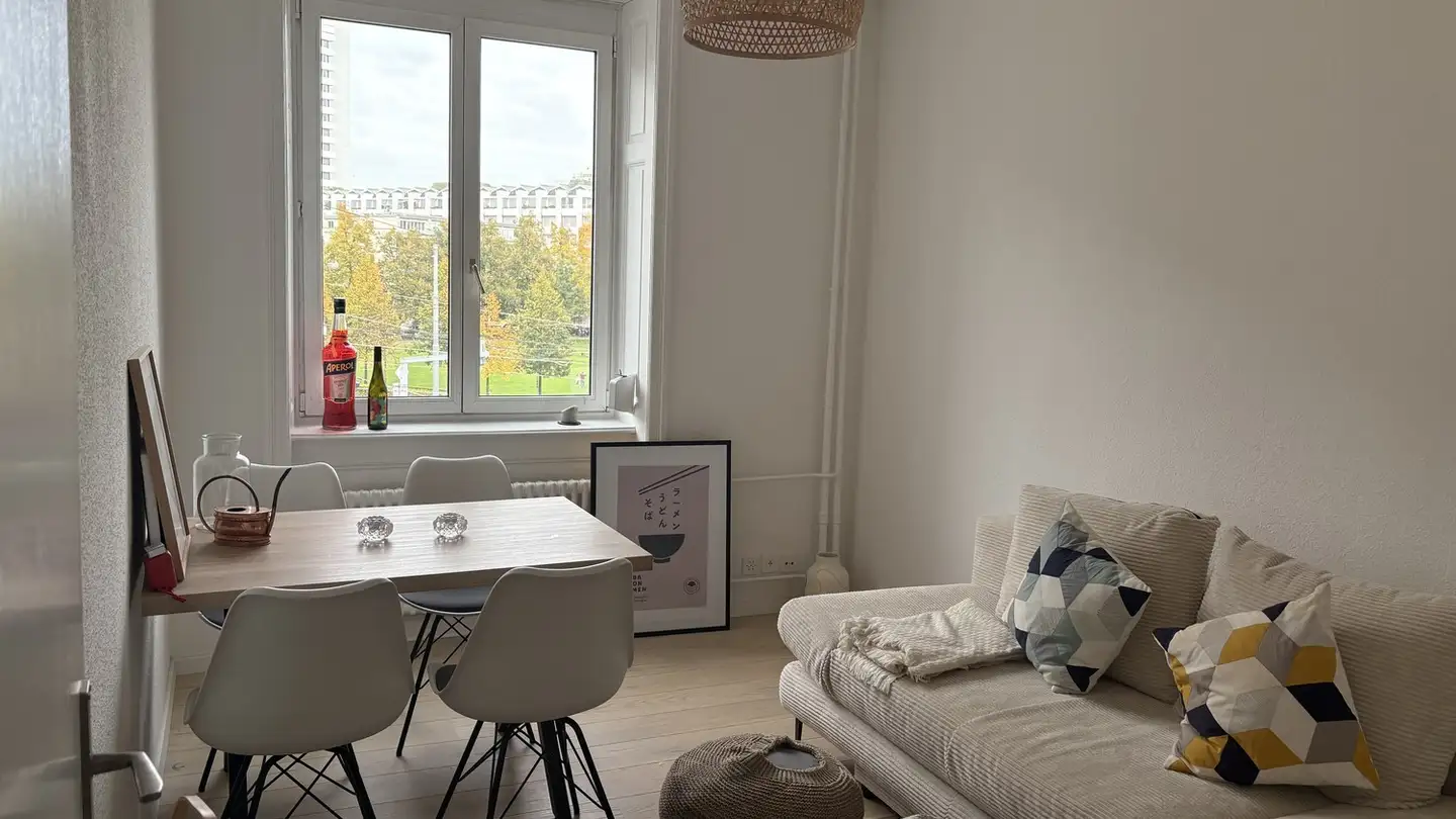 Appartamento in affitto - 4056 Basel
