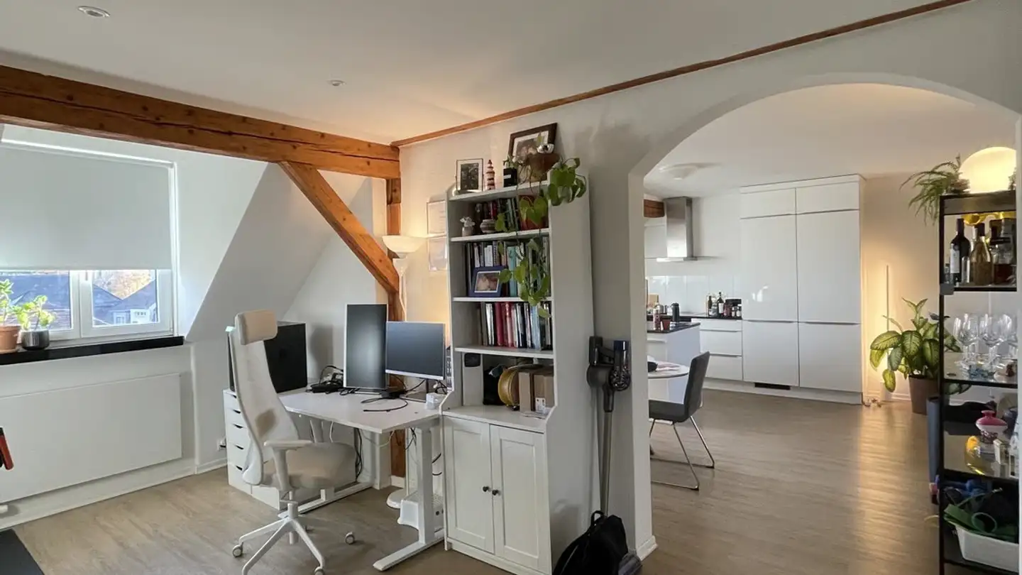 Furnished apartment for rent - 8055 Zürich