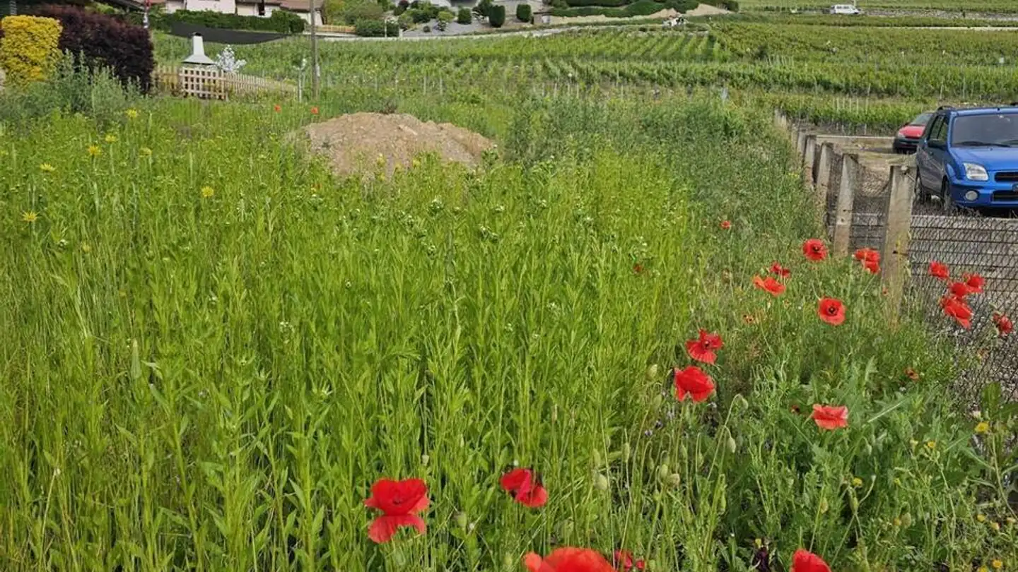 Appartamento in vendita - 1975 St-Séverin - Photo 2