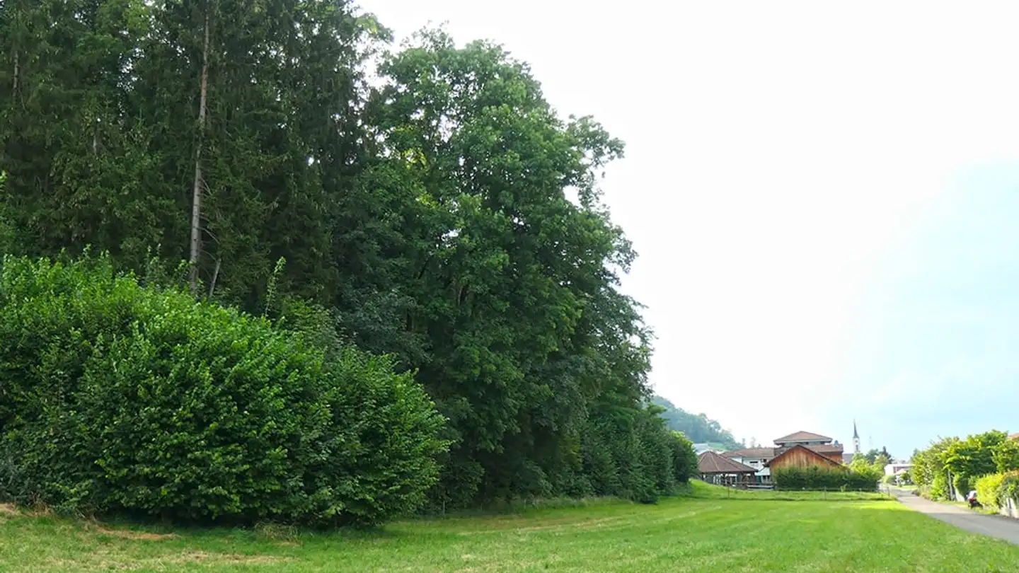 Appartamento in vendita - 5074 Eiken - Foto 3