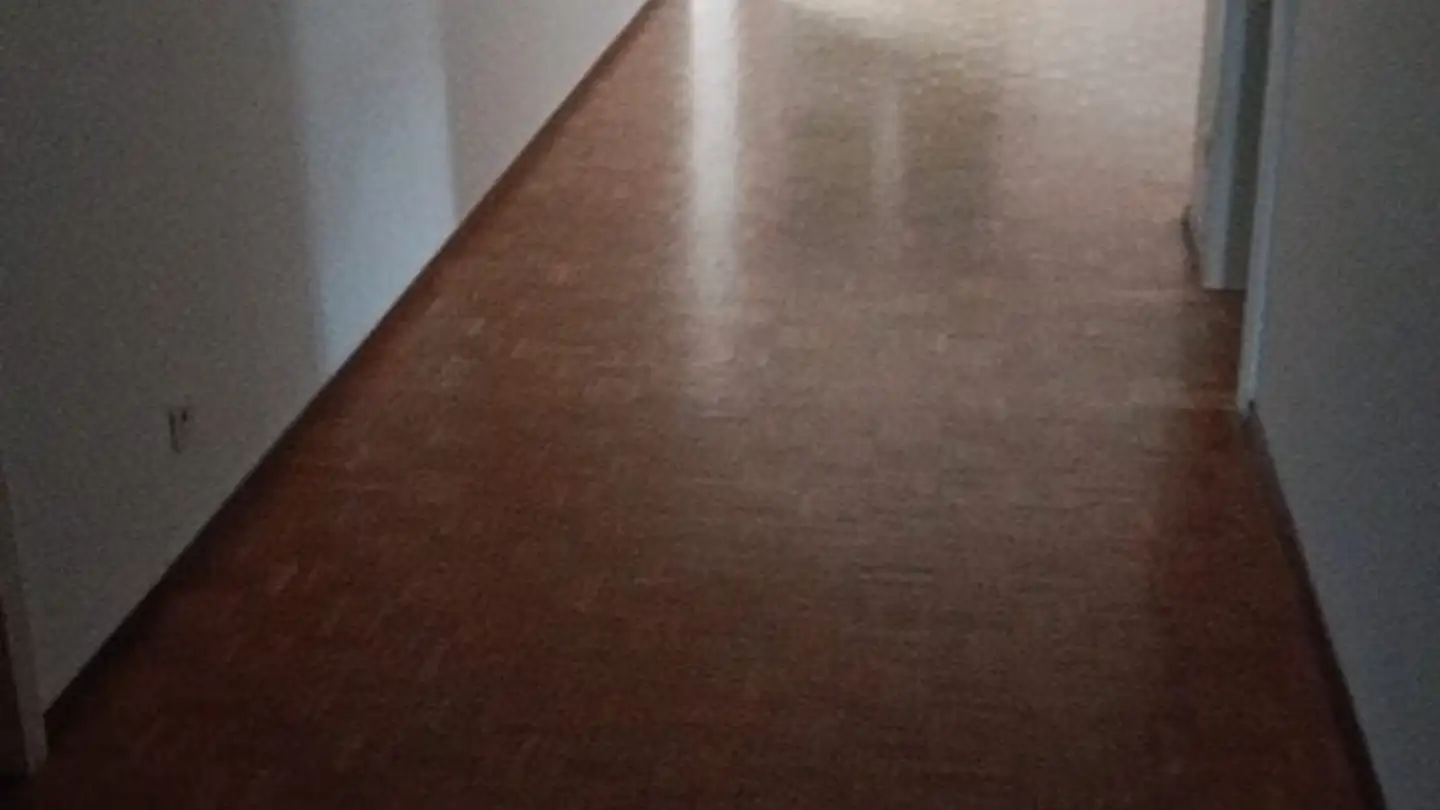 Appartamento in affitto - Via Henri Dunant, 6900 Massagno - Photo 3