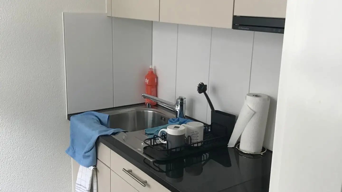 Apartment for rent - Taubenhausstrasse 2, 6005 Luzern - Photo 4