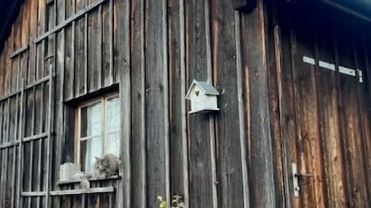 Semi-detached house for rent - Brunnenstrasse 8, 8912 Obfelden - Photo 4