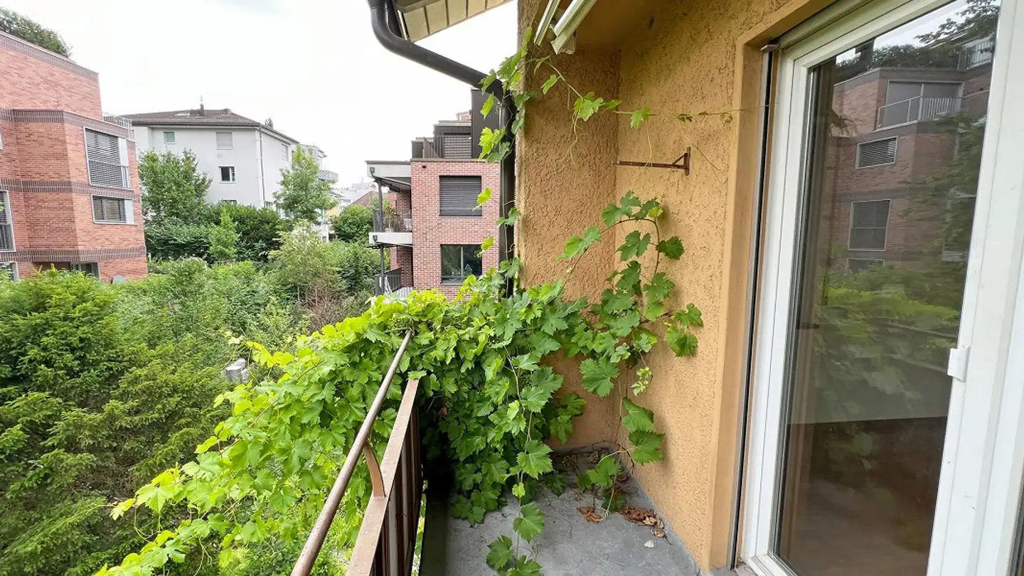 Appartamento in affitto - Balgriststrasse 80, 8008 Zürich - Photo 4