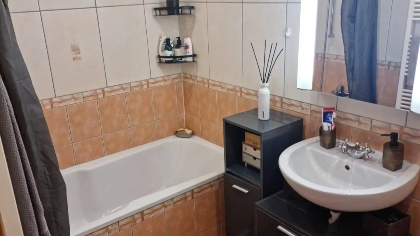 Appartamento in affitto - 1566 St-Aubin FR - Foto 4