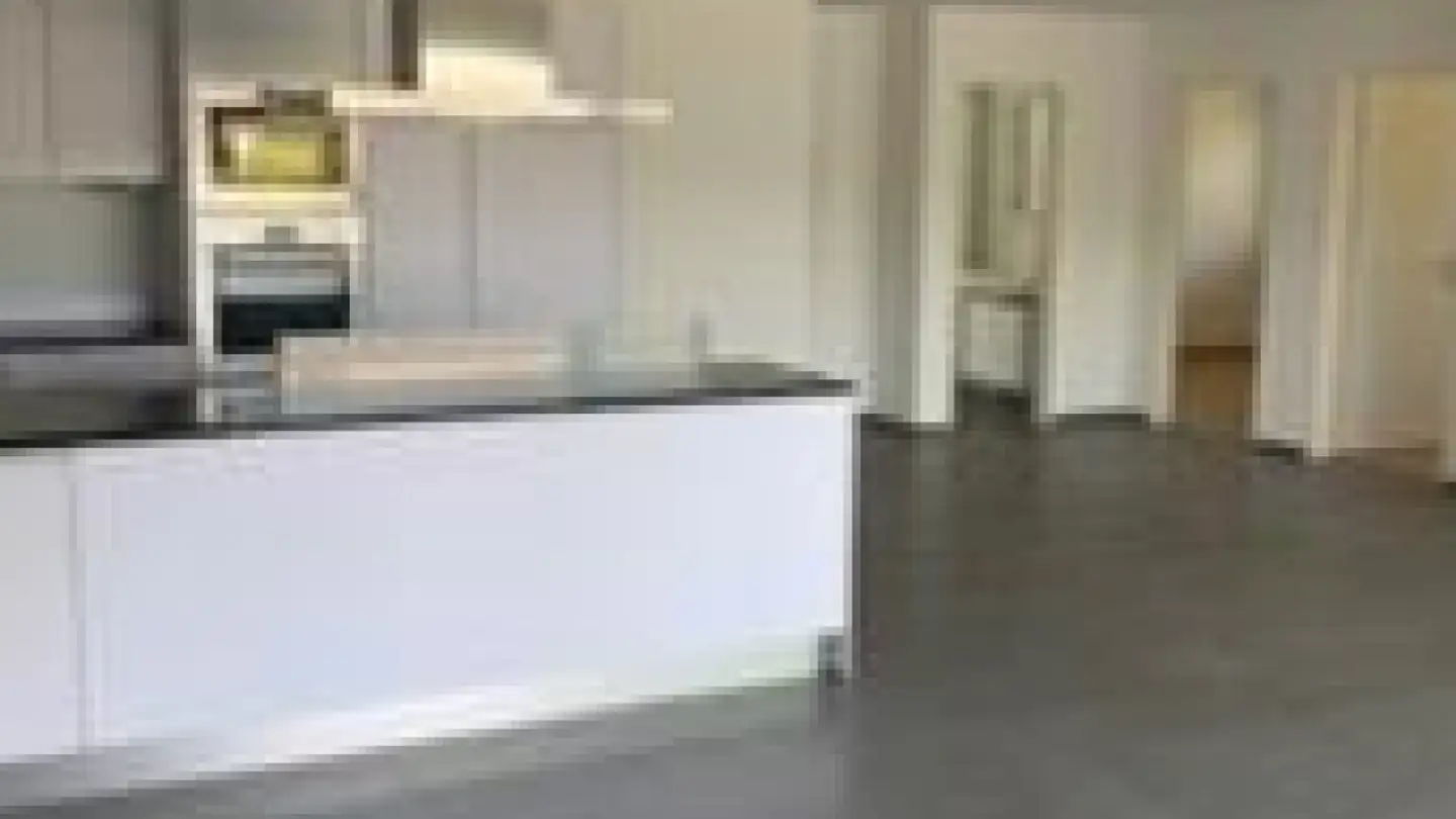 Stepped apartment for rent - Kasernenstrasse 51, 4410 Liestal - Photo 3