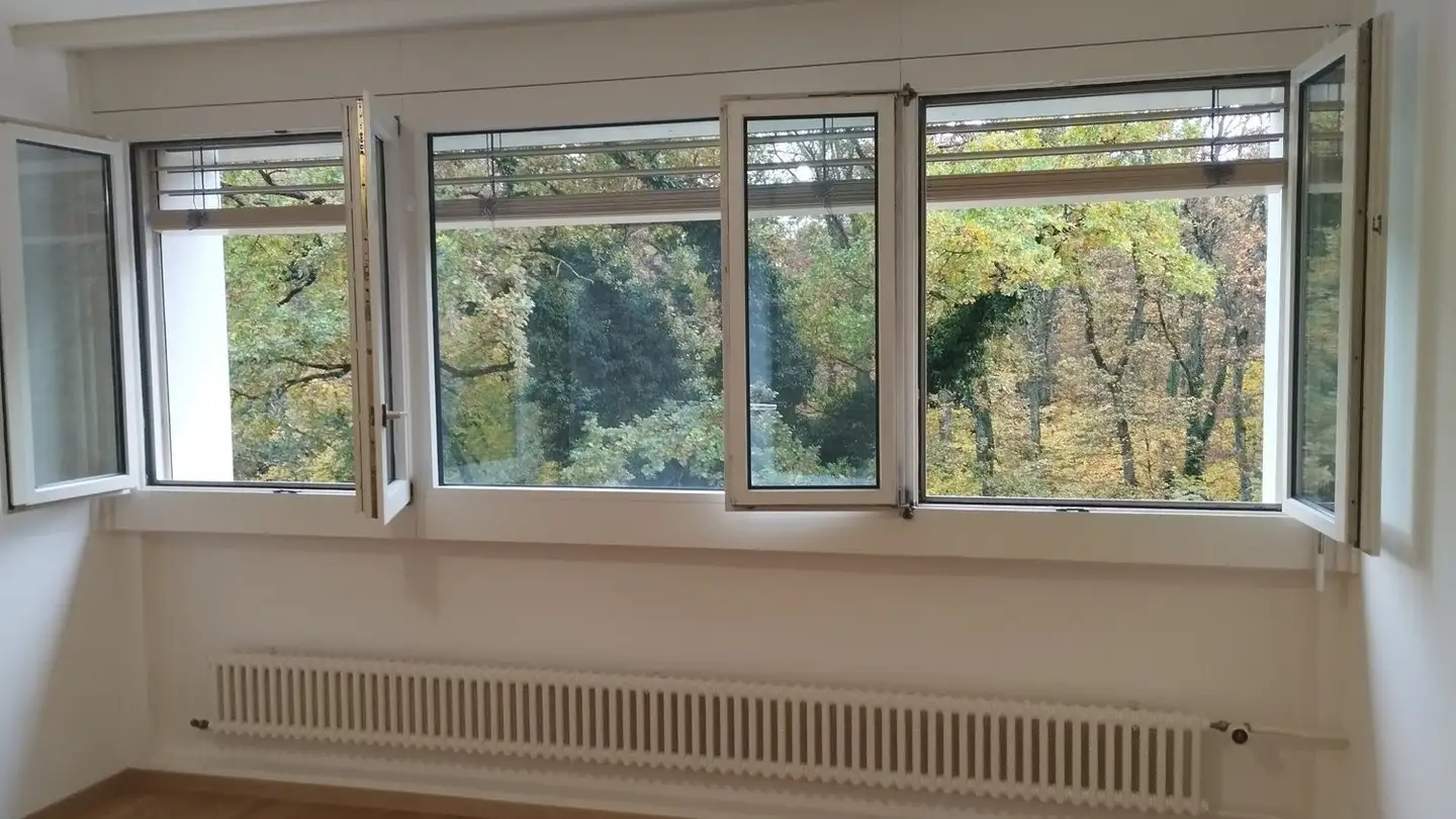 Wohnung mieten - Rue du Vieux-Moulin, 1213 Onex