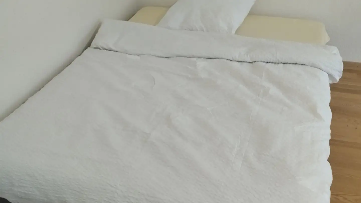 Wohnung mieten - Rue du Vieux-Moulin, 1213 Onex - Foto 2