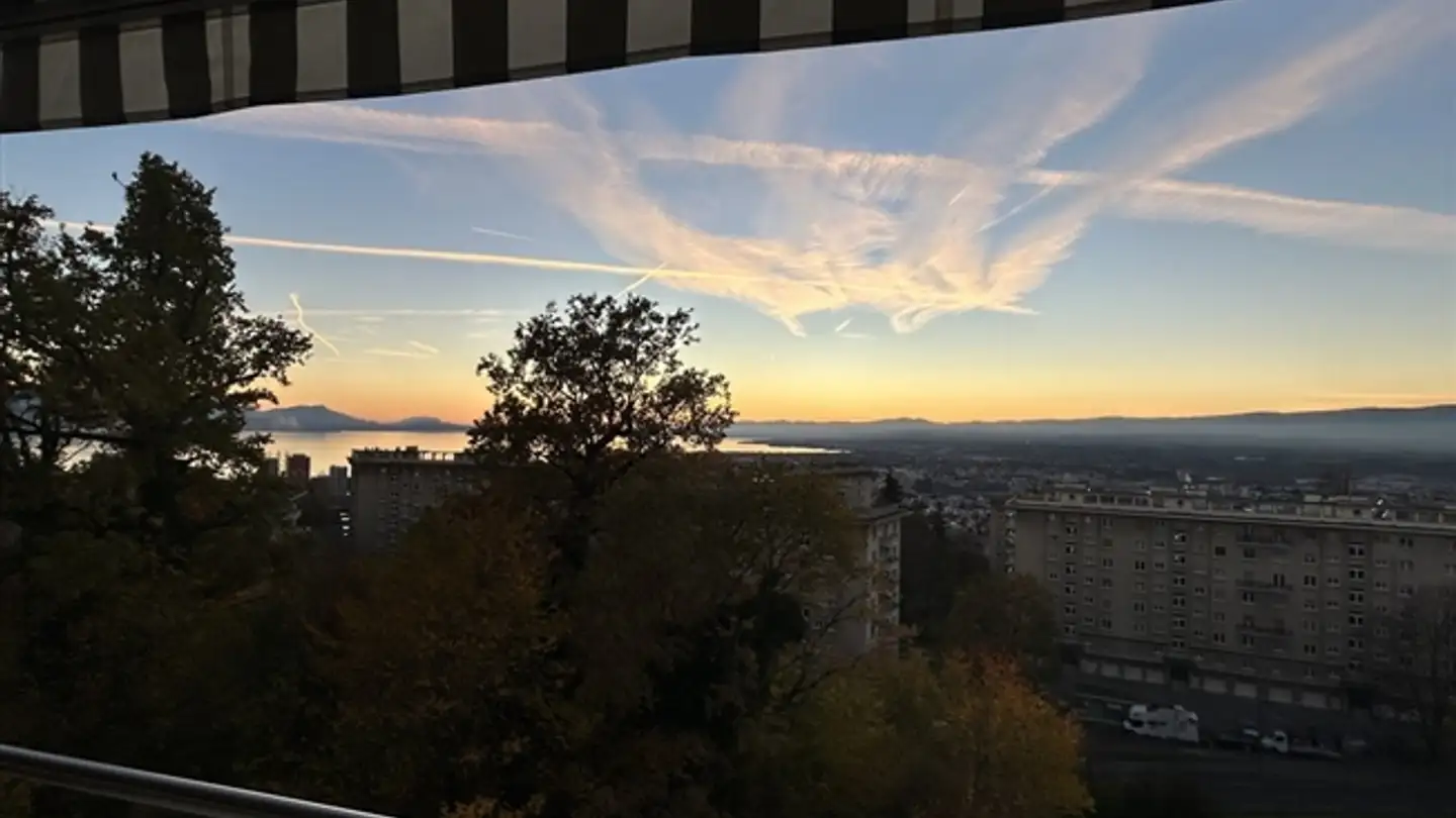 Appartement à louer - Chemin De Pierrefleur 23b, 1004 Lausanne - Photo 3