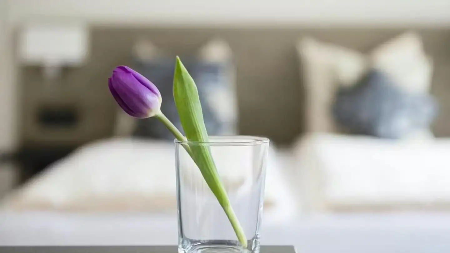 Apartment for rent - 8005 Zürich - Photo 3