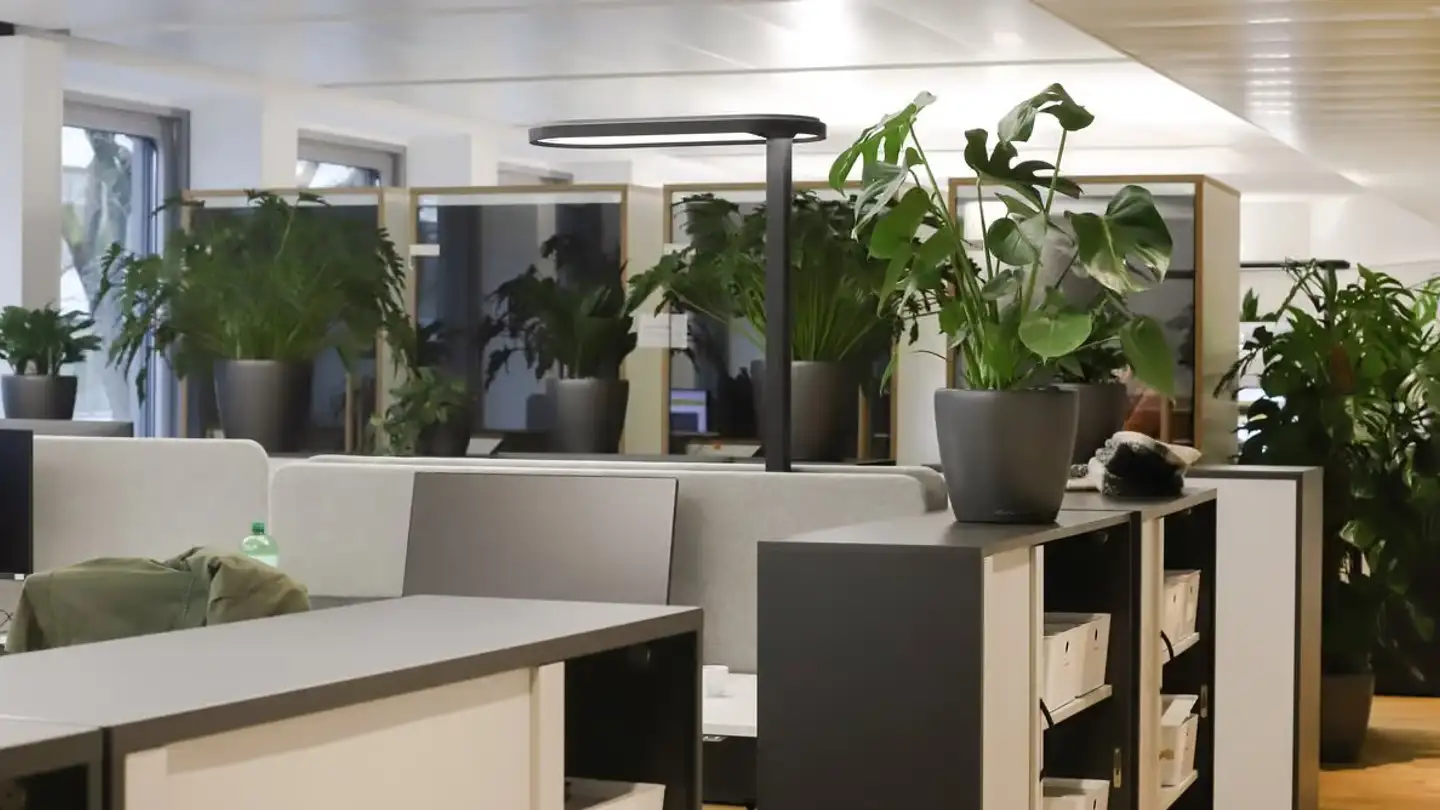 Bureau à louer - Röntgenstrasse 16, 8005 Zürich - Photo 2