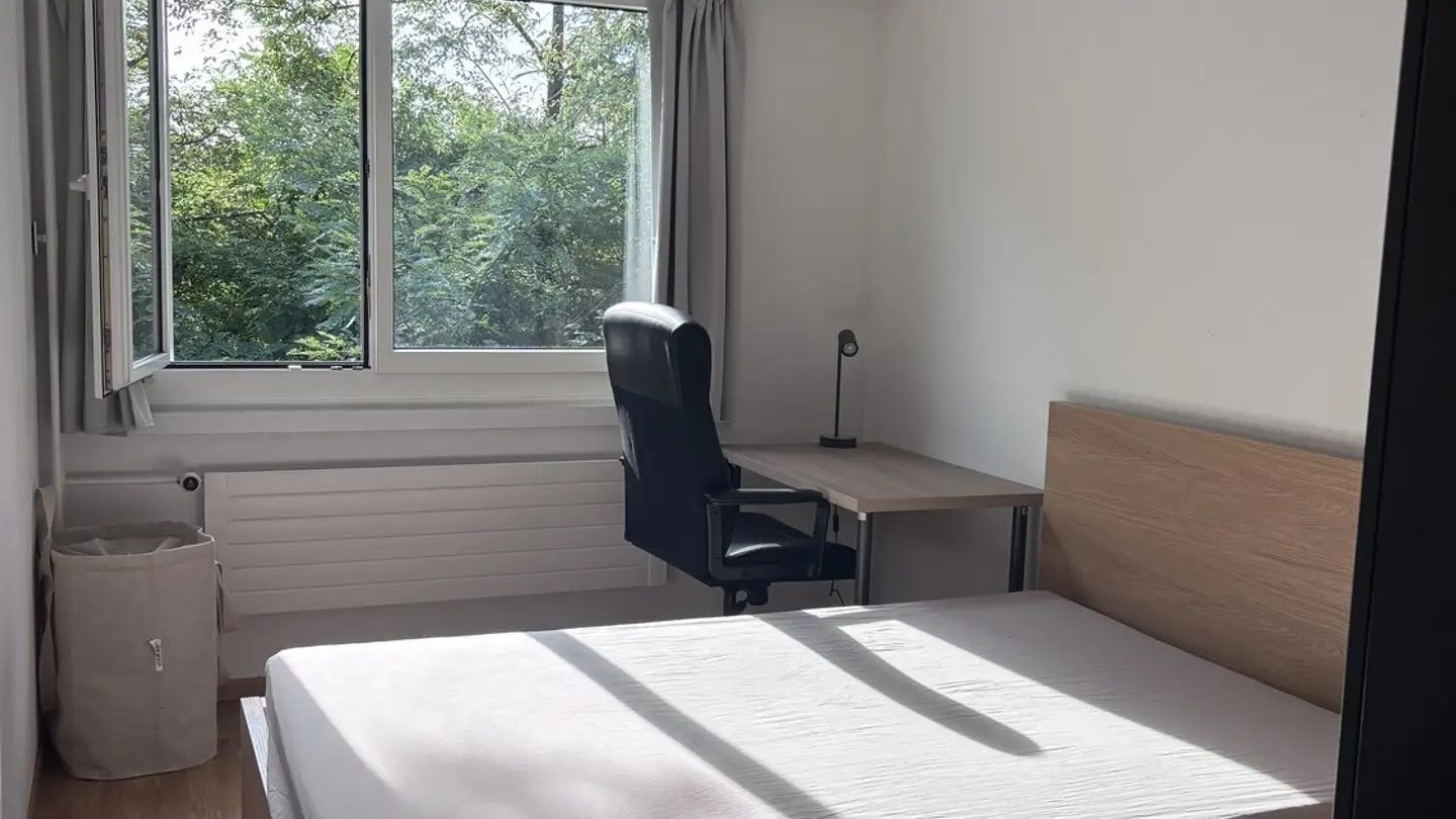 Chambre à louer - 8606 Greifensee