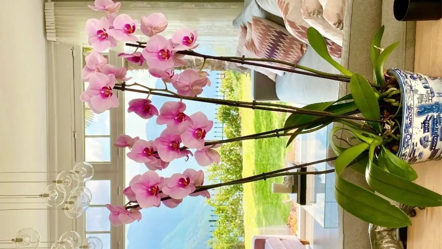 Casa singola in affitto - 6914 Carona - Photo 3