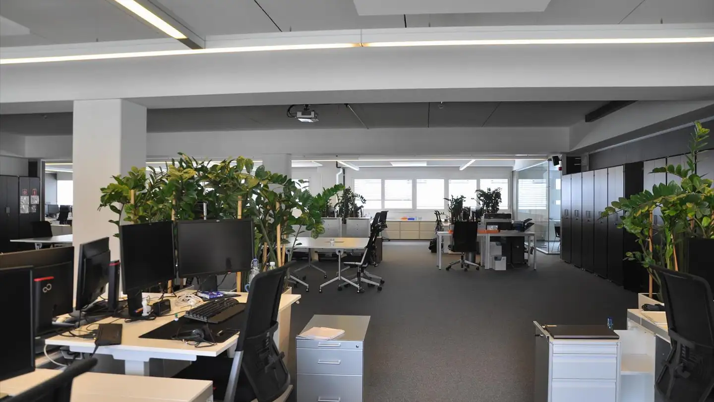 Spazio ufficio in affitto - Via D'argine 5, 6930 Bedano - Photo 2