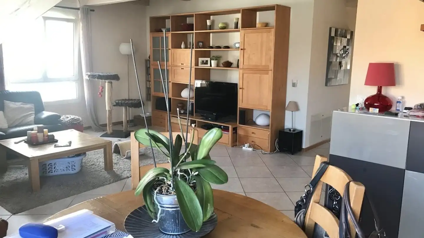 Wohnung mieten - Rue Du Jura 7, 1196 Gland - Foto 4