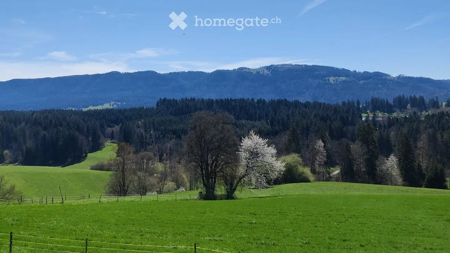 Casa singola in vendita - Route De Bellelay 4, 2712 Le Fuet - Photo 3