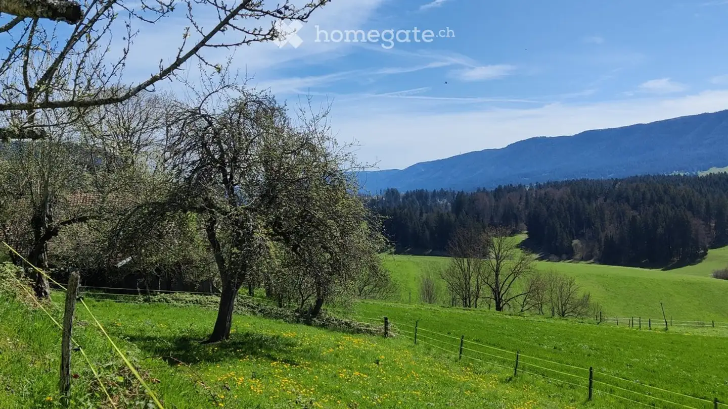 Casa singola in vendita - Route De Bellelay 4, 2712 Le Fuet - Photo 4