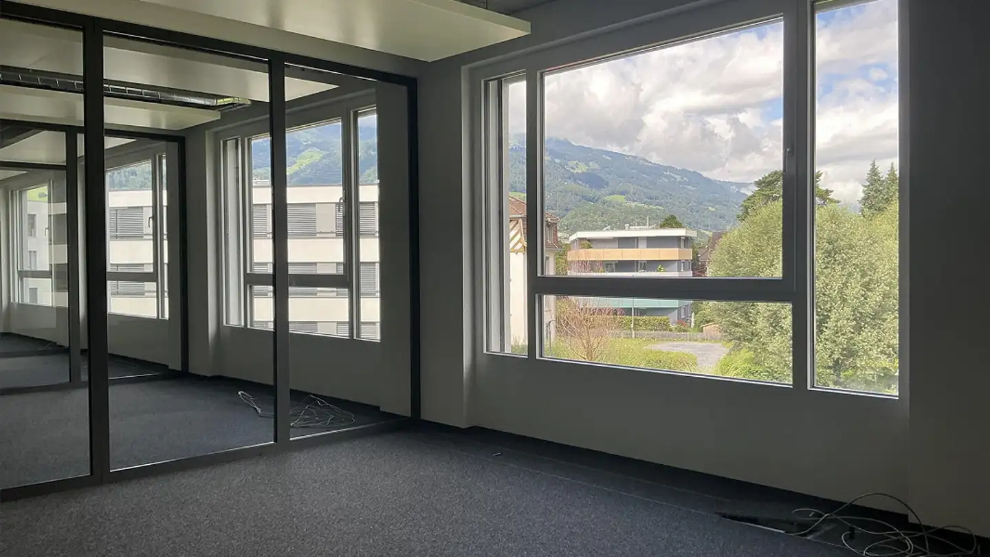 Commerciale in affitto - Bahnhofpark 2b, 7320 Sargans - Photo 3