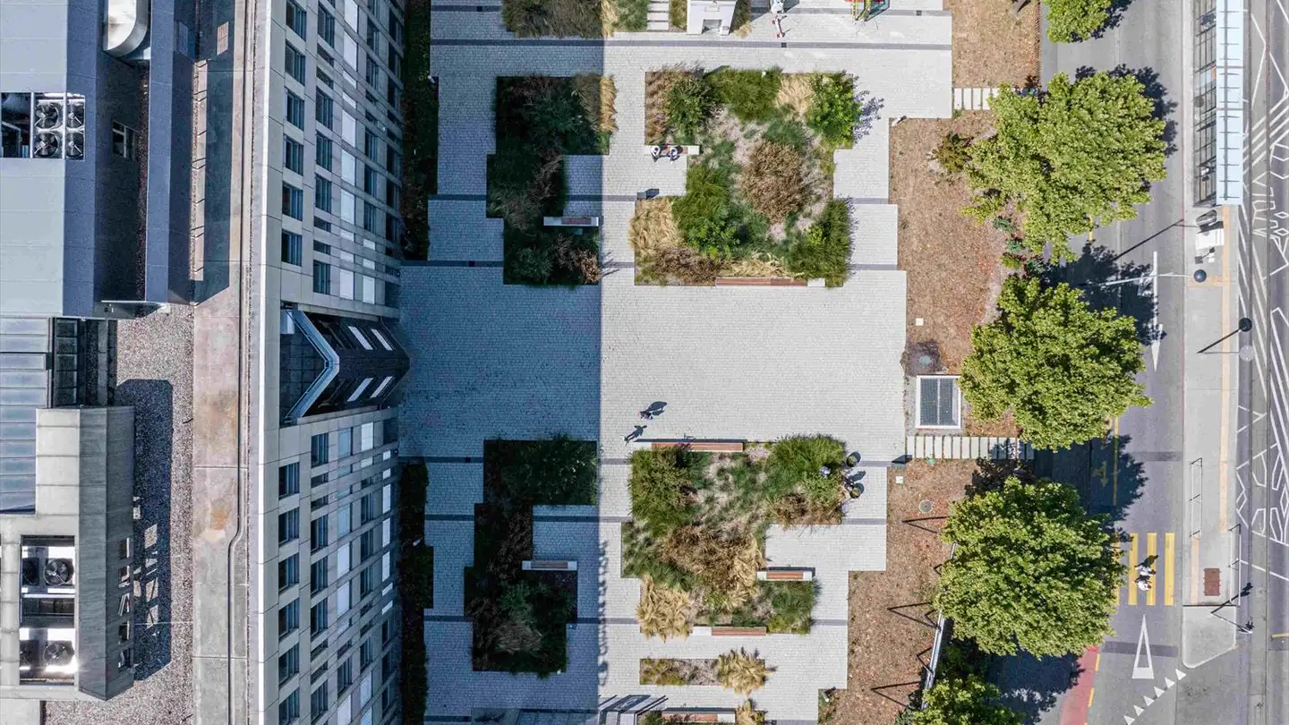 Spazio ufficio in affitto - Route De Chancy 59, 1213 Petit-Lancy - Photo 2