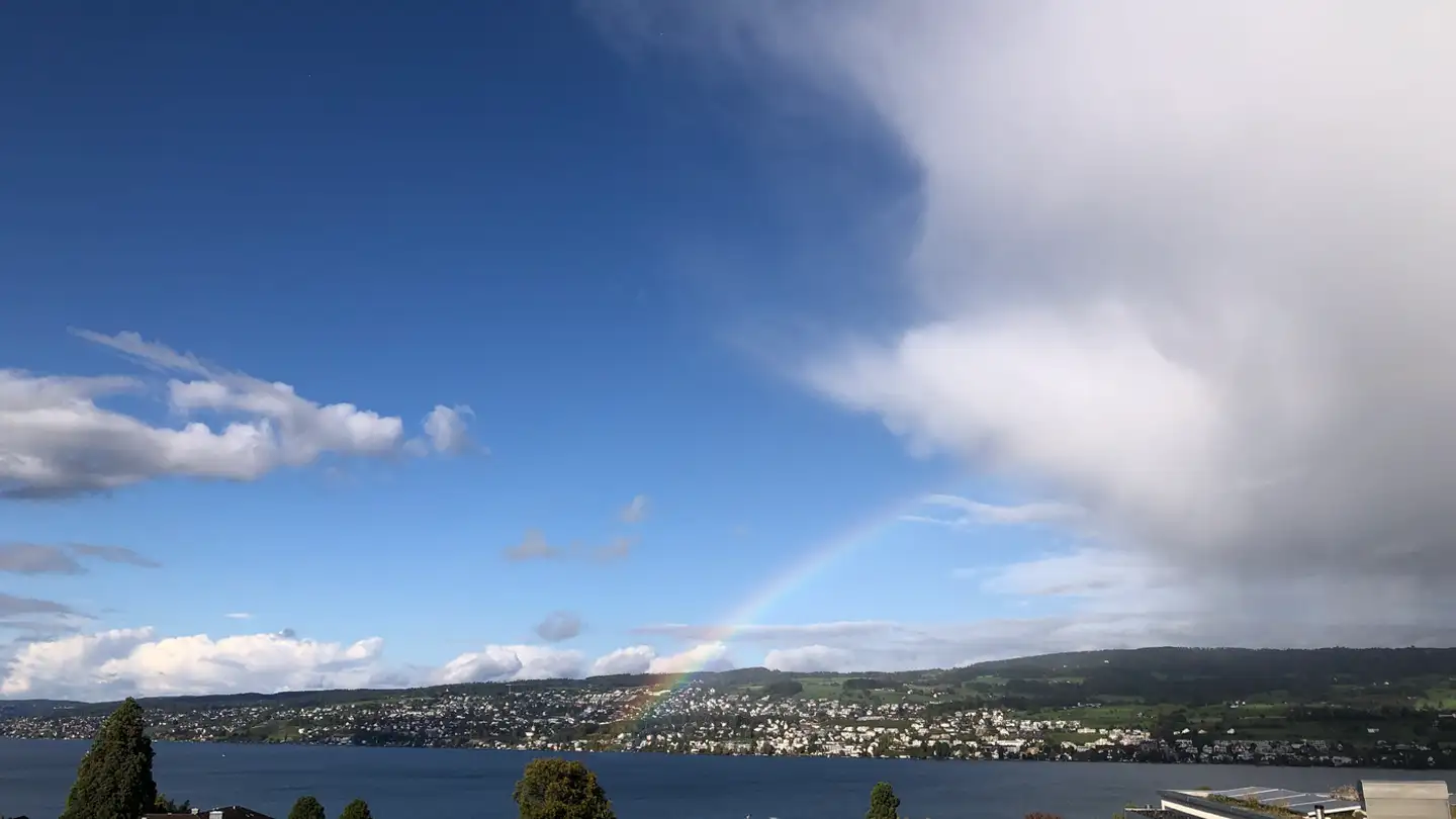 Appartement à louer - 8810 Horgen - Photo 2