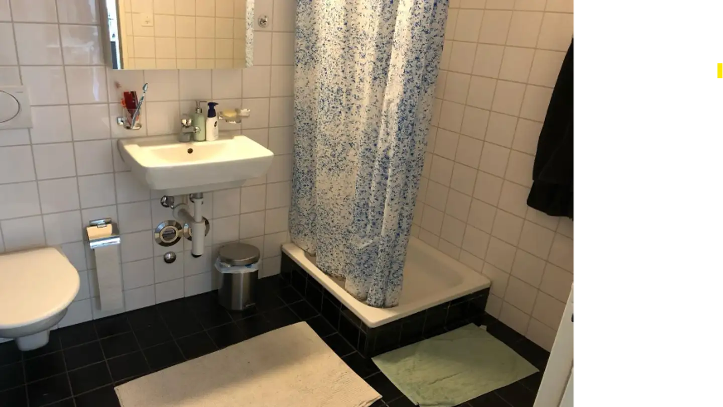 Single room for rent - Voltastrasse 86, 4056 Basel - Photo 4