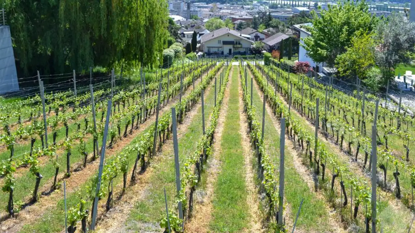 Constructible plot for sale - 3960 Sierre