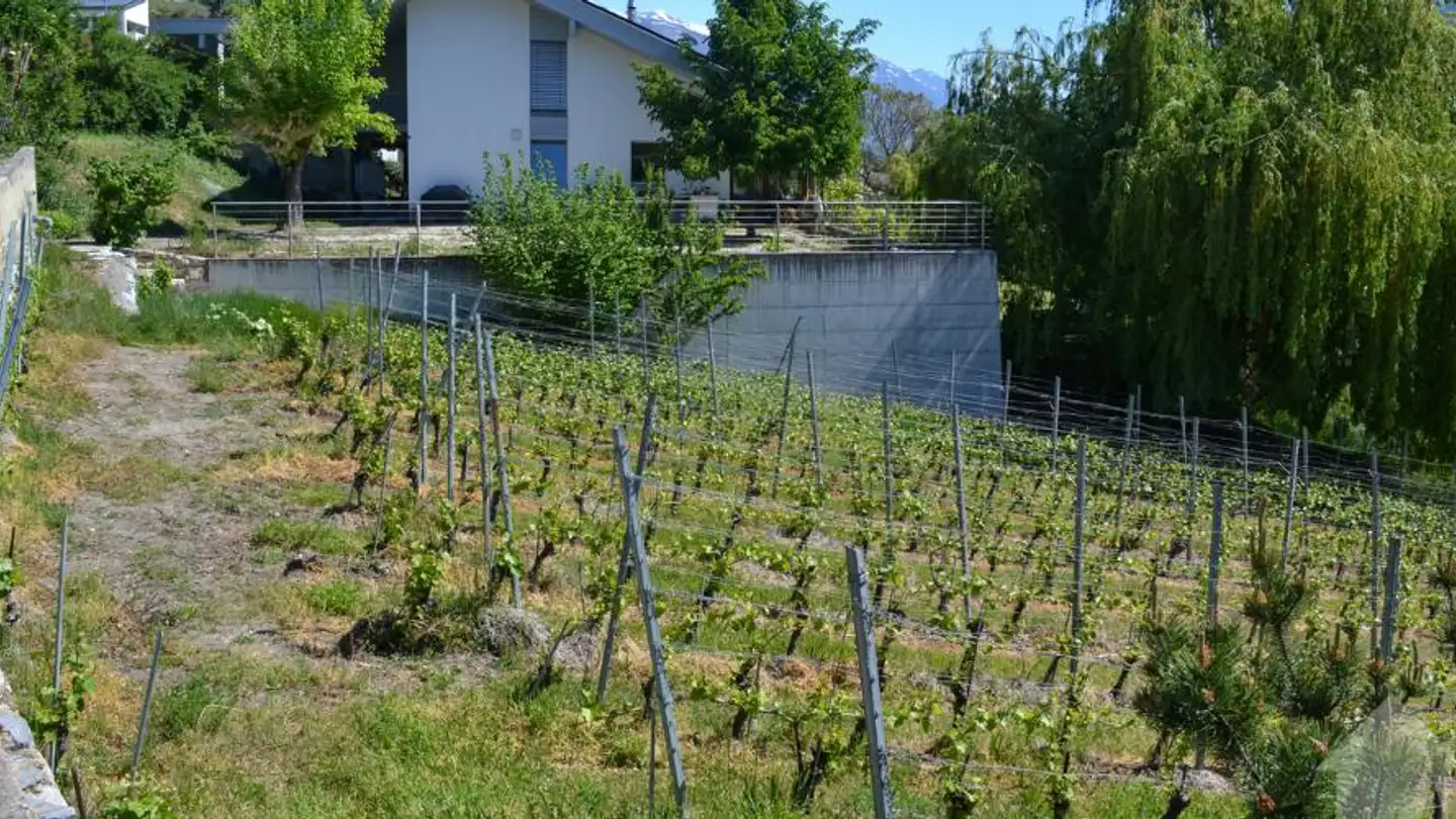 Constructible plot for sale - 3960 Sierre - Photo 4