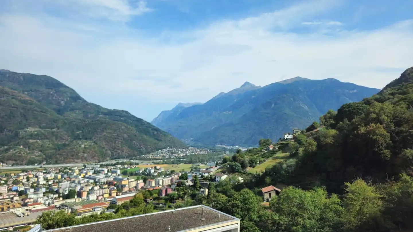 Appartamento in affitto - Via Delle Vigne, 6500 Bellinzona