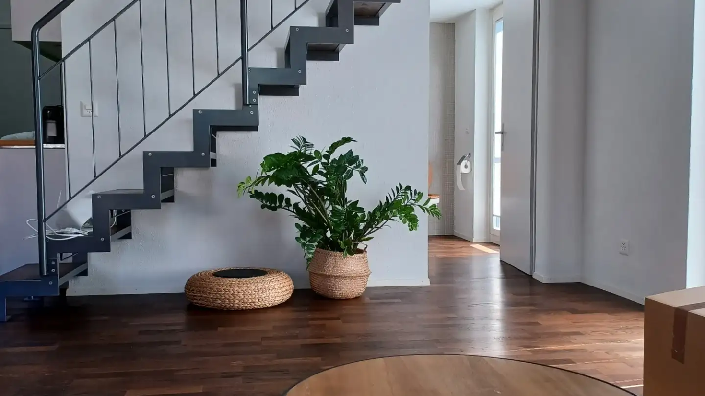 Wohnung mieten - Studerstrasse 66, 3004 Bern - Foto 3