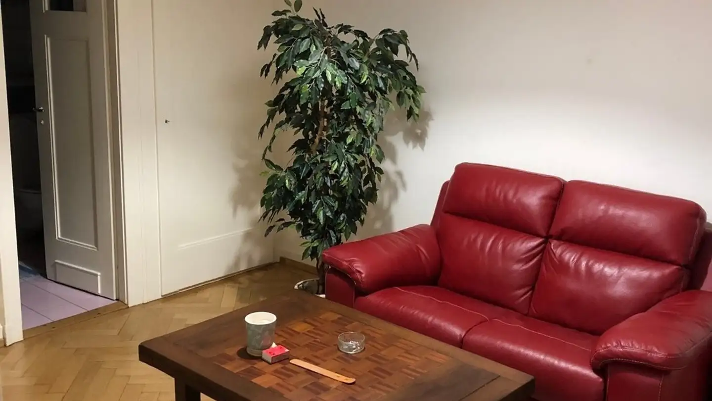 Apartment for rent - Avenue Louis-Ruchonnet, 1003 Lausanne