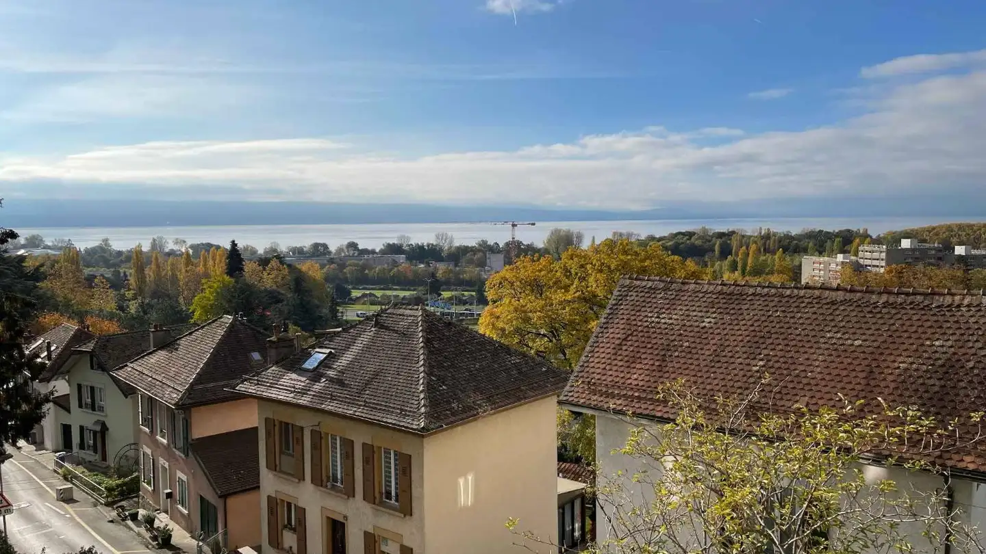 Appartamento in affitto - Rue Du Lac 35, 1020 Renens VD
