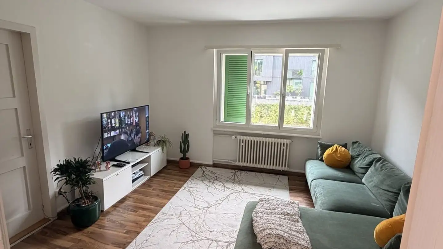 Single room for rent - 6030 Ebikon