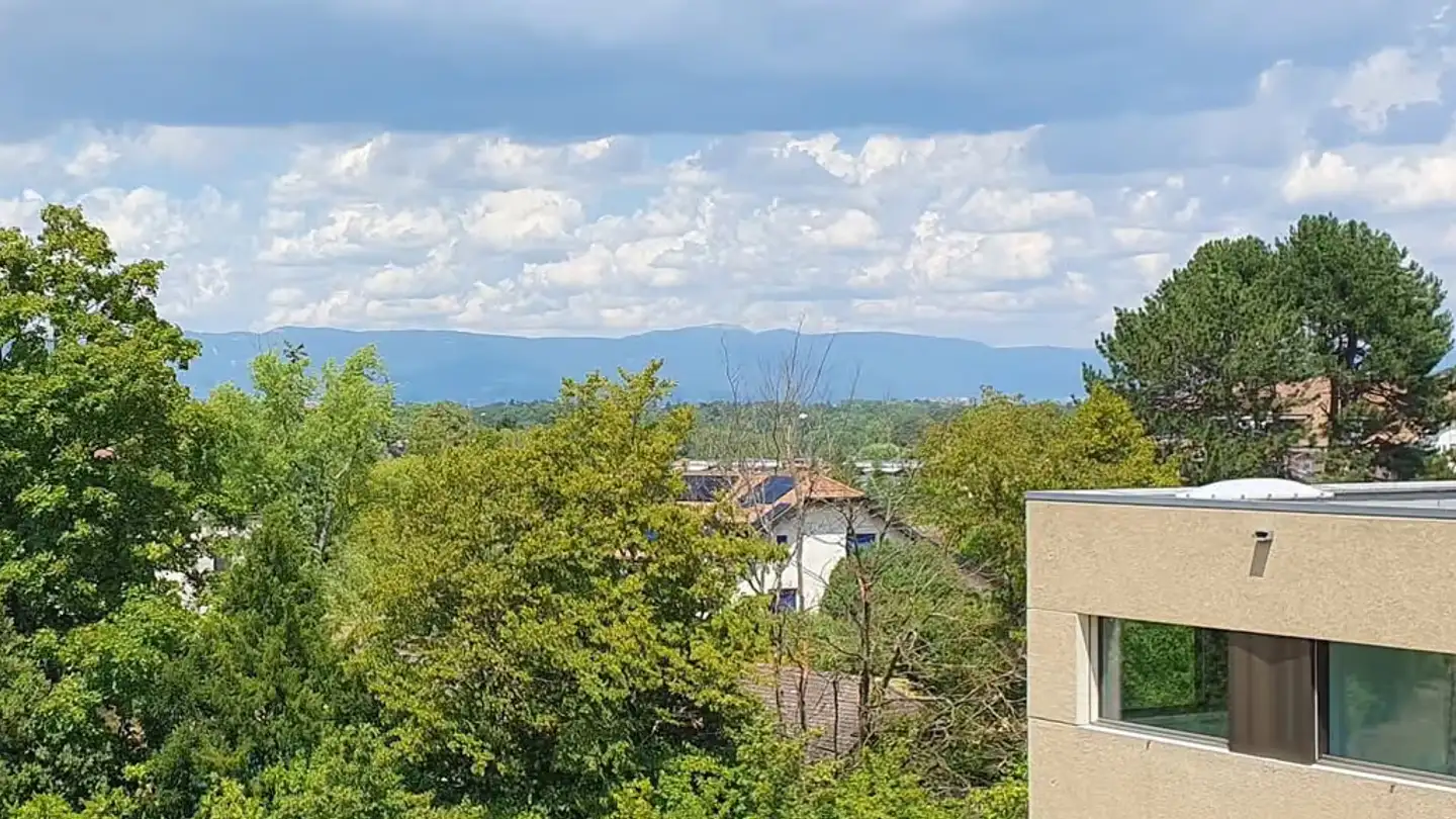 Attic flat for rent - Avenue Du Grand-Salève 6, 1255 Veyrier - Photo 3
