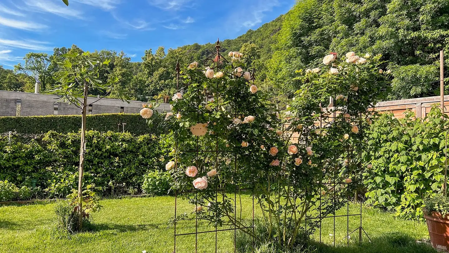 Casa singola in affitto - 6618 Arcegno - Photo 4