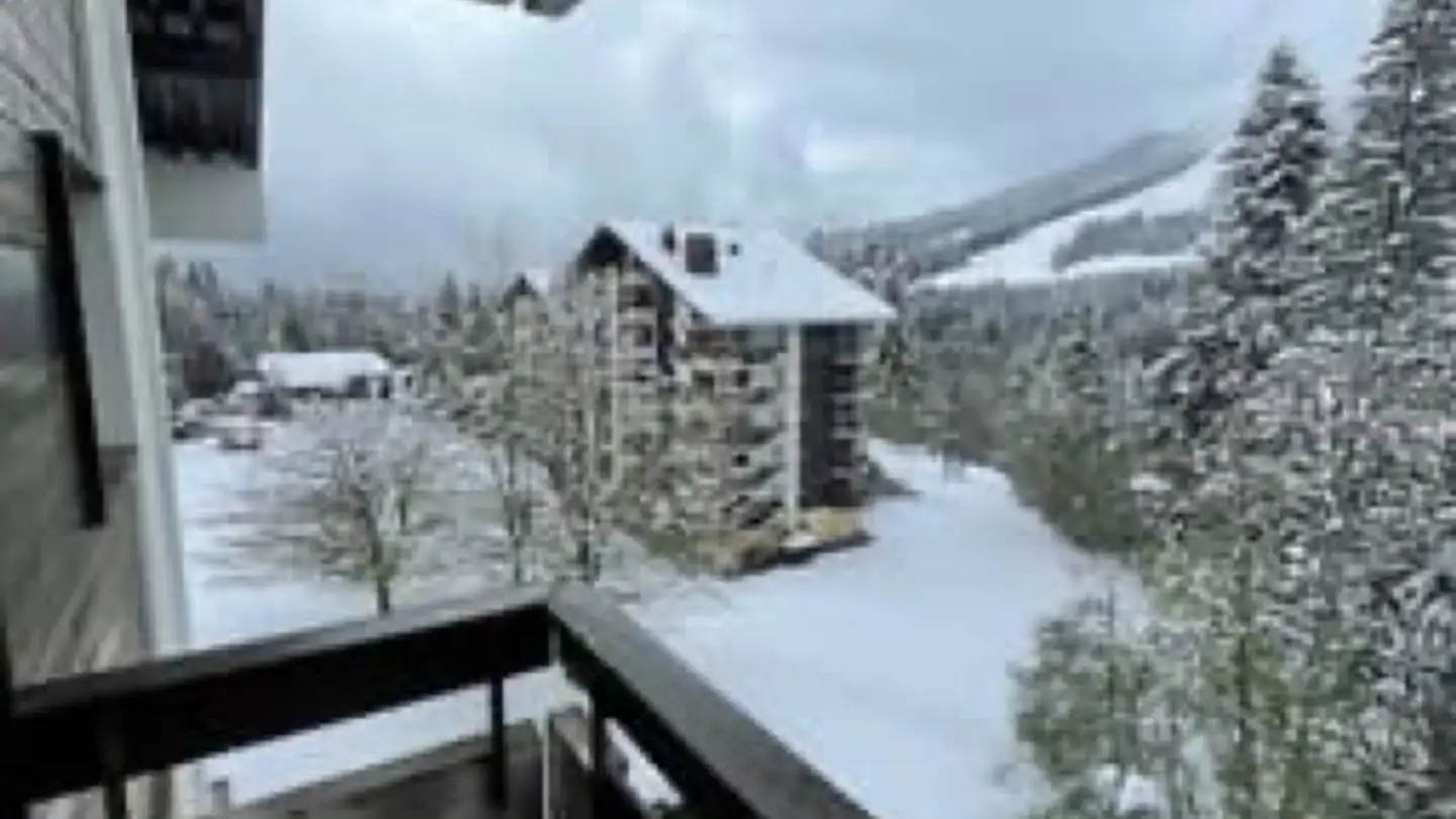 Appartamento in affitto - Chemin Du Tsalé 15, 1619 Les Paccots