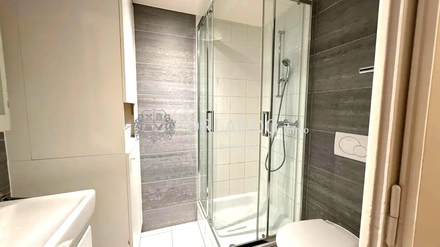 Möblierte Wohnung mieten - Rue Ancienne, 1227 Carouge GE - Foto 2