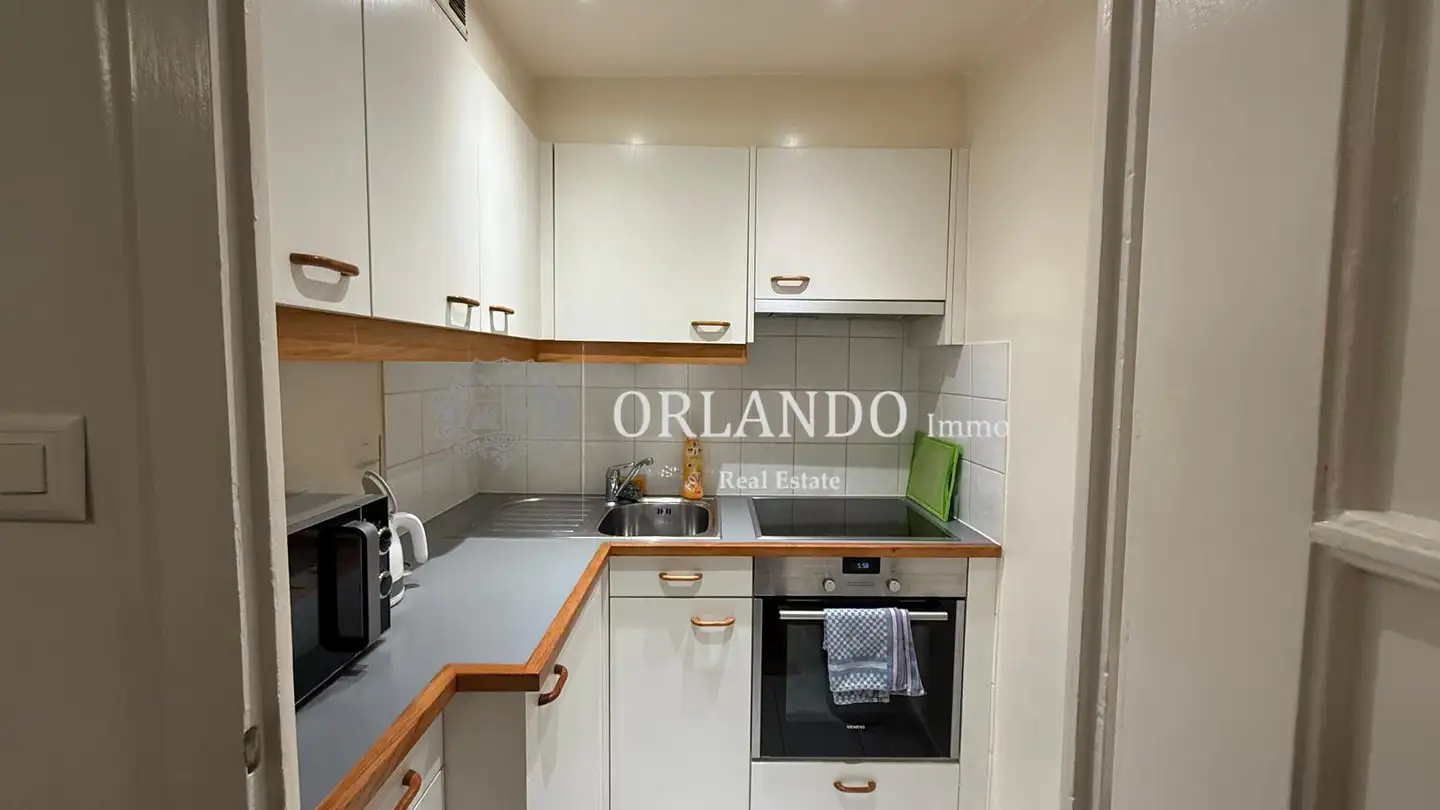 Möblierte Wohnung mieten - Rue Ancienne, 1227 Carouge GE - Foto 3