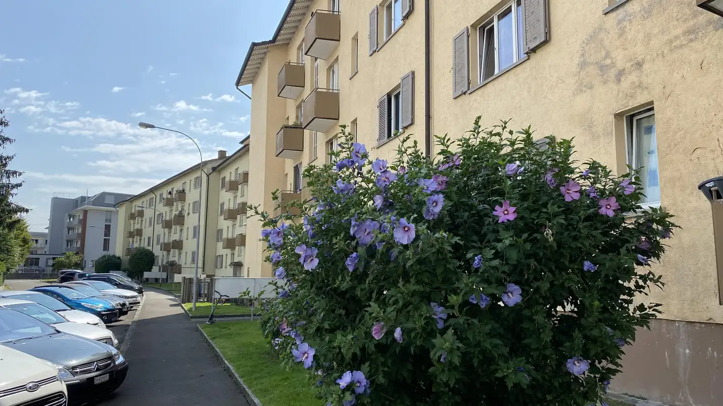 Wohnung mieten - Badenerstrasse 46, 8952 Schlieren