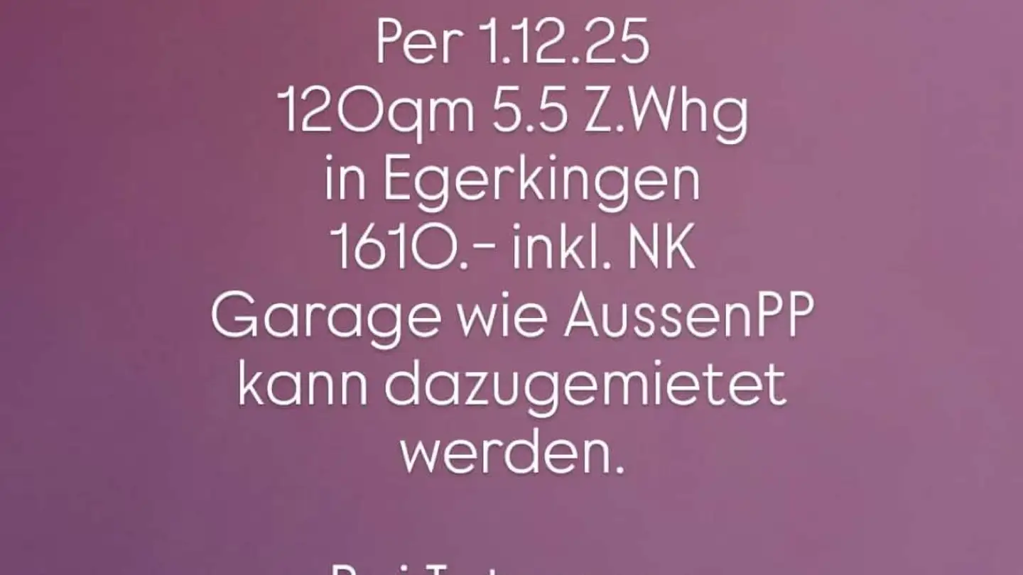 Appartamento in affitto - 4622 Egerkingen