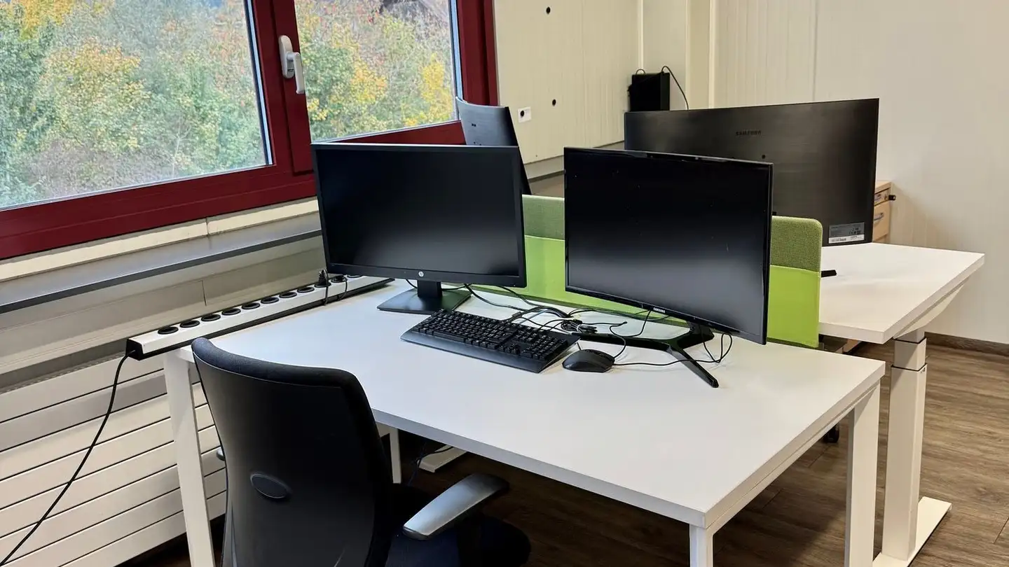 Commerciale in affitto - Wiggermatte 14, 6260 Mehlsecken - Photo 4