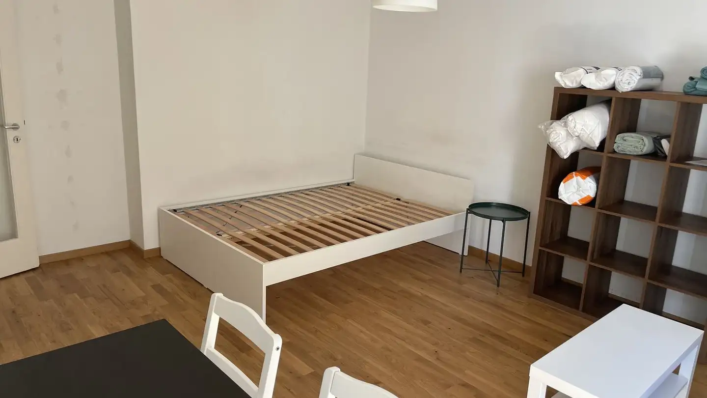 Appartement à louer - Zurlindenstrasse 5, 8003 Zürich - Photo 3
