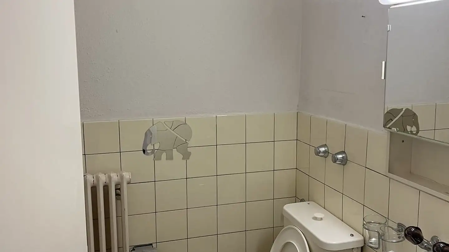 Appartement à louer - Zurlindenstrasse 5, 8003 Zürich - Photo 4