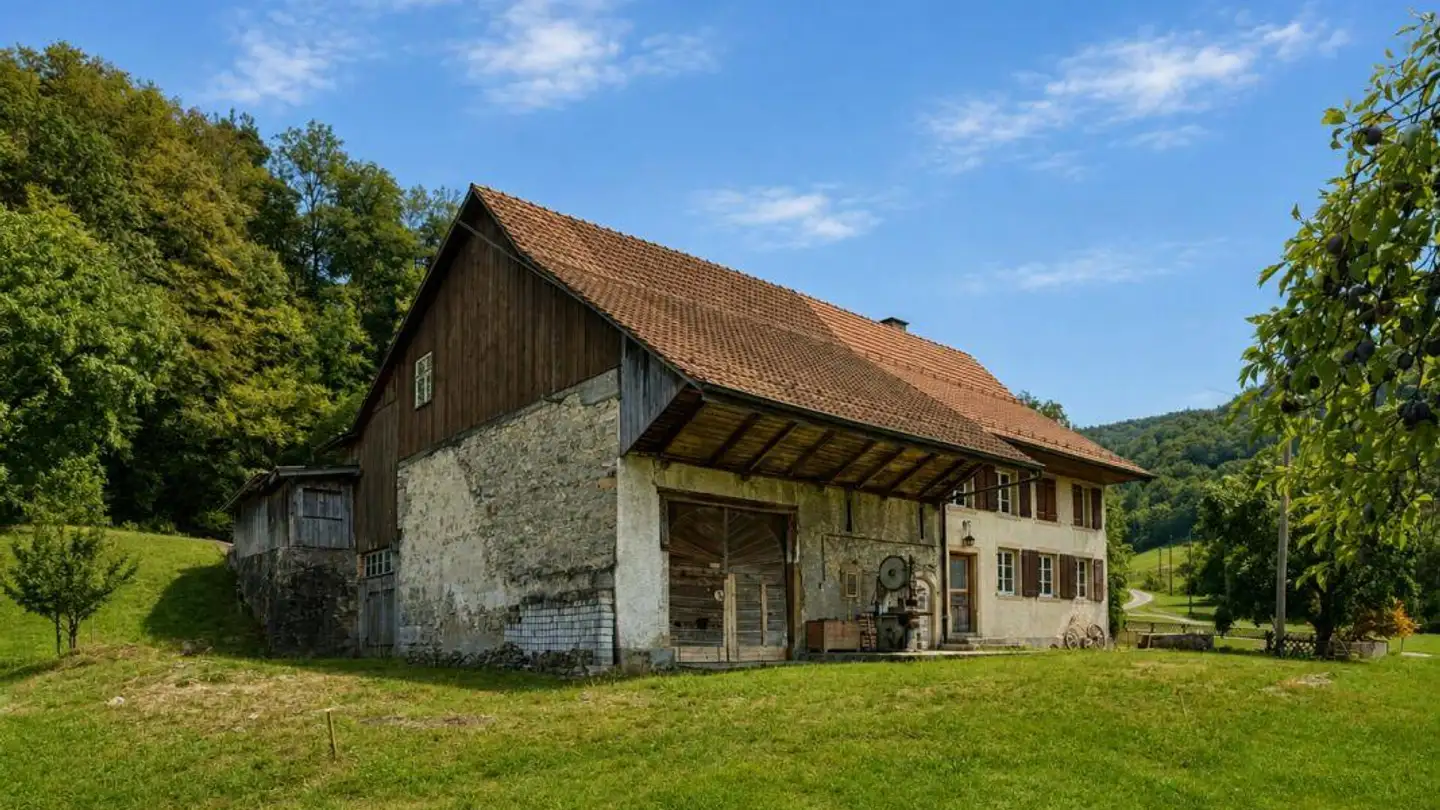 Fattoria in vendita - Hofacker 82, 4495 Zeglingen - Foto 4