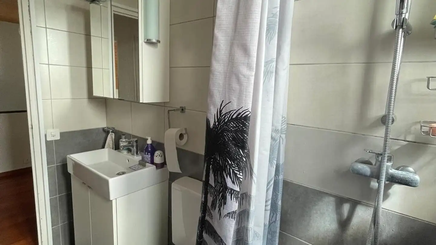 Stanza singola in affitto - Brignon 1996, 1996 Brignon (Nendaz) - Photo 3