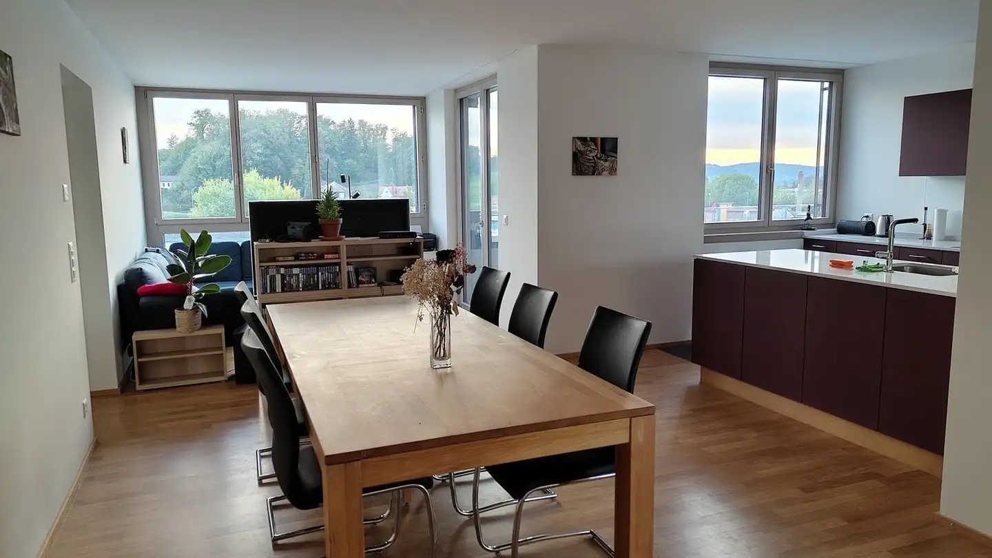 Appartamento in affitto - Archstrasse 21, 8610 Uster - Foto 3