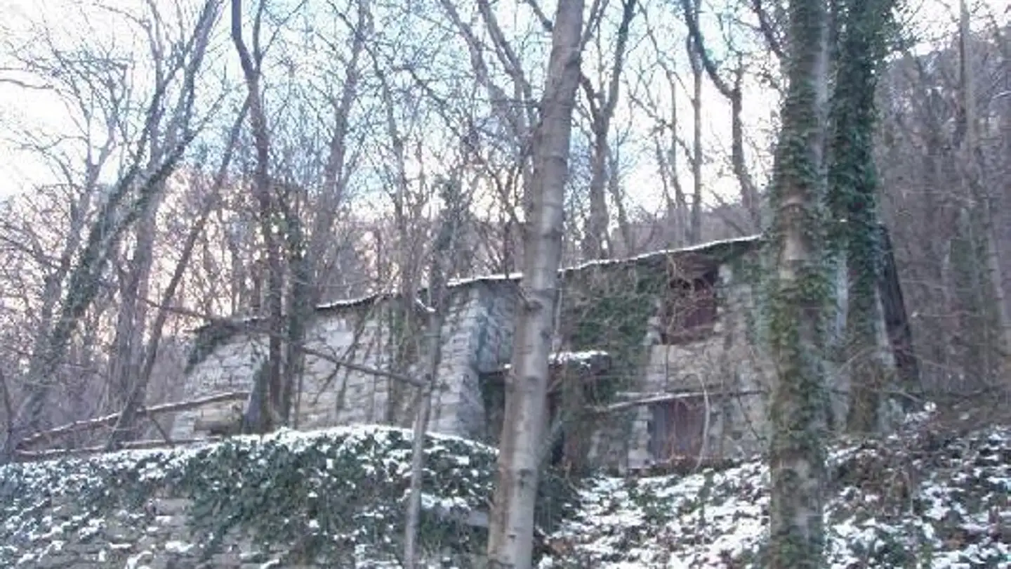 Einfamilienhaus kaufen - 6600 Locarno